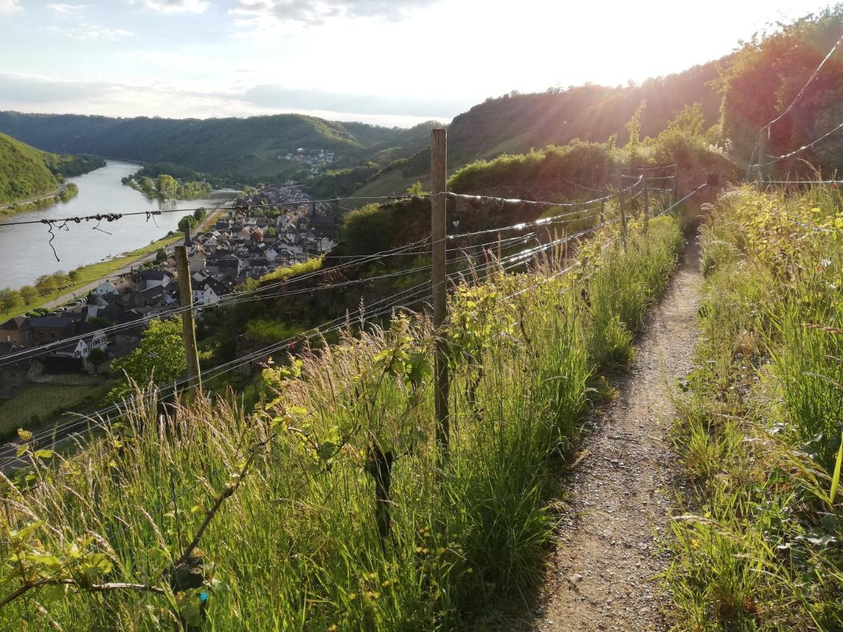 Eifelpause Apartment Plaidt Bagian luar foto